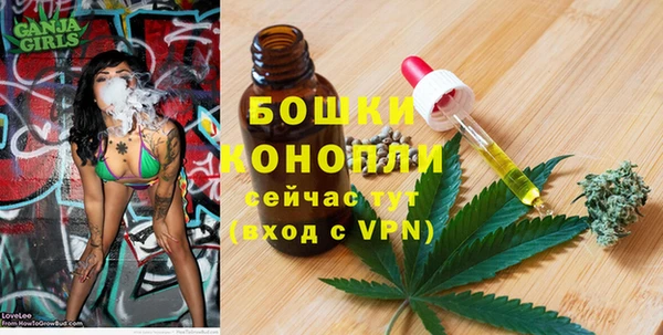 крисы Куйбышев