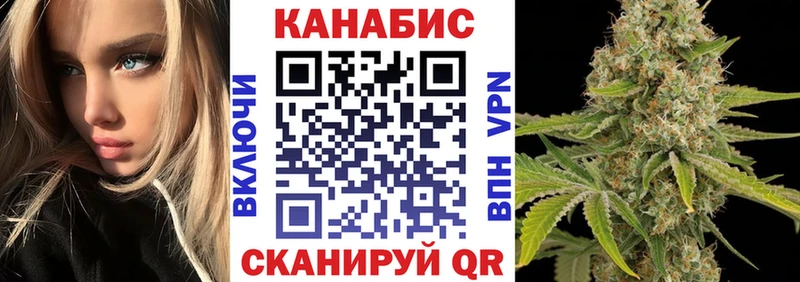 Конопля гибрид  Рыльск 